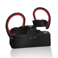 Ear-hook style Sport HD Calls Lossless sound quality tws 5.0 mini True wireless earphone with charging box